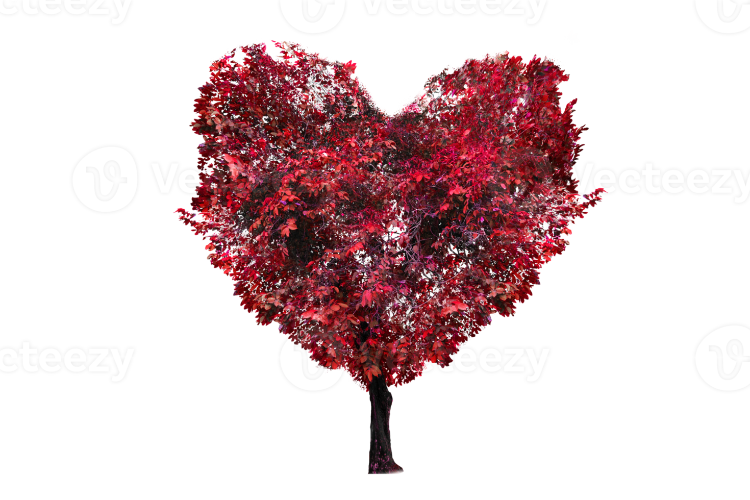 Heart Tree Isolated White Background png 11911703 PNG