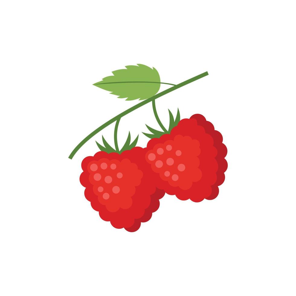 Raspberry Flat design clip art vector illustration isolated on a white background