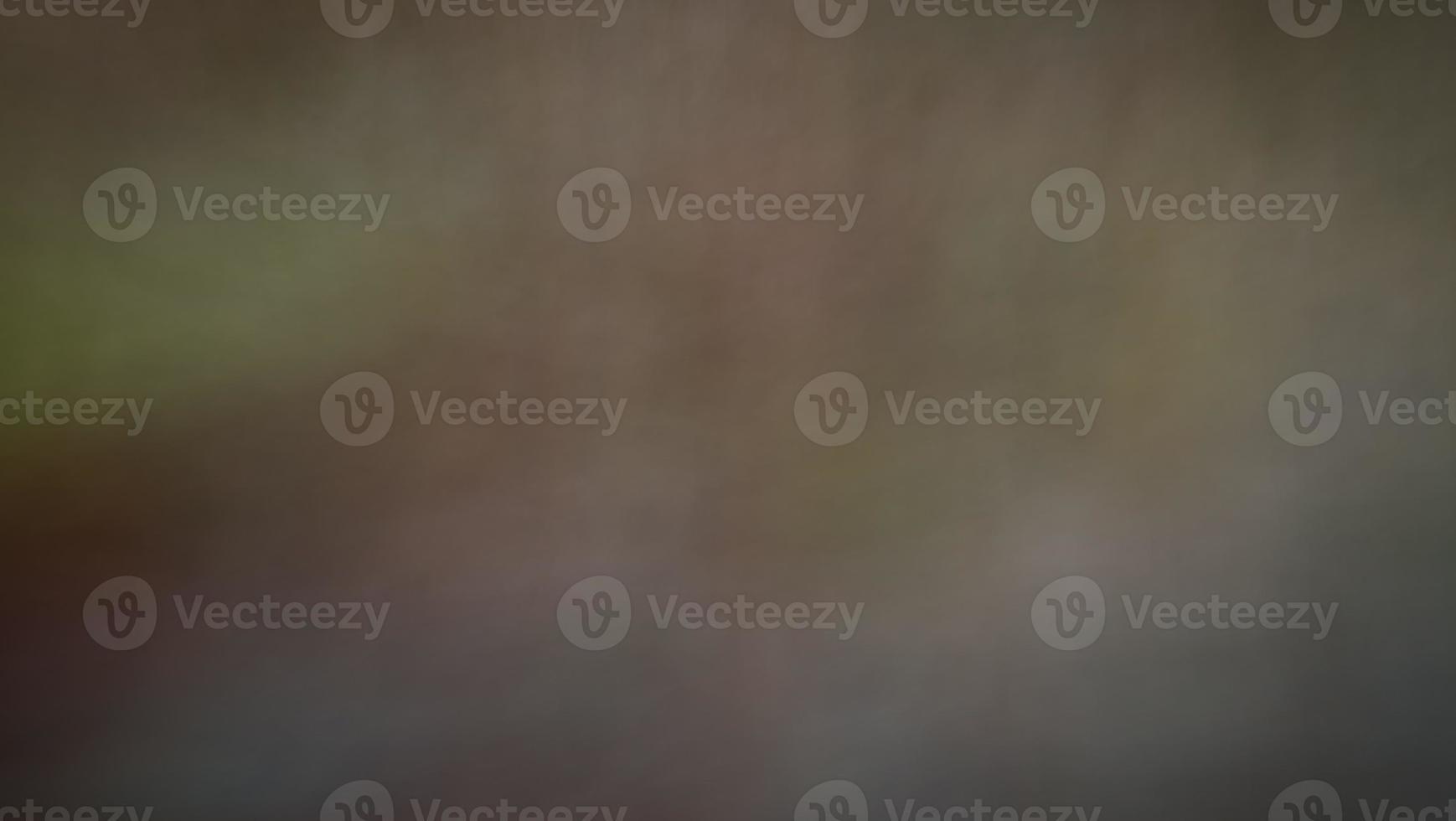 Abstract blur background with brown gray, black, white and earth tones. photo
