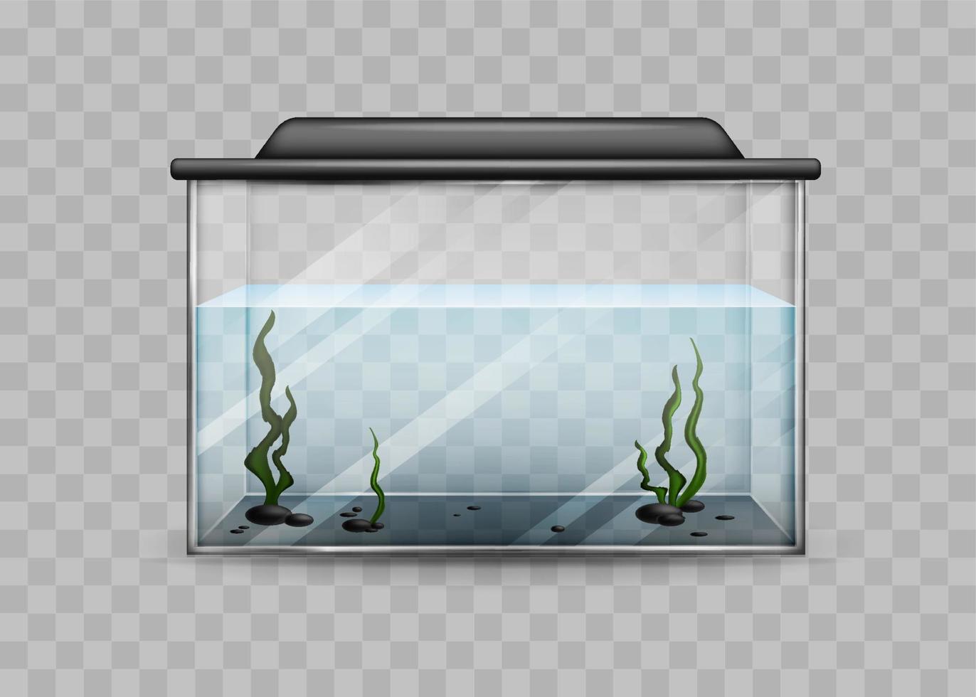 Transparent aquarium with water and algae isolated template. Rectangular container with black backlight lid and green underwater plants water world at home and vector office.