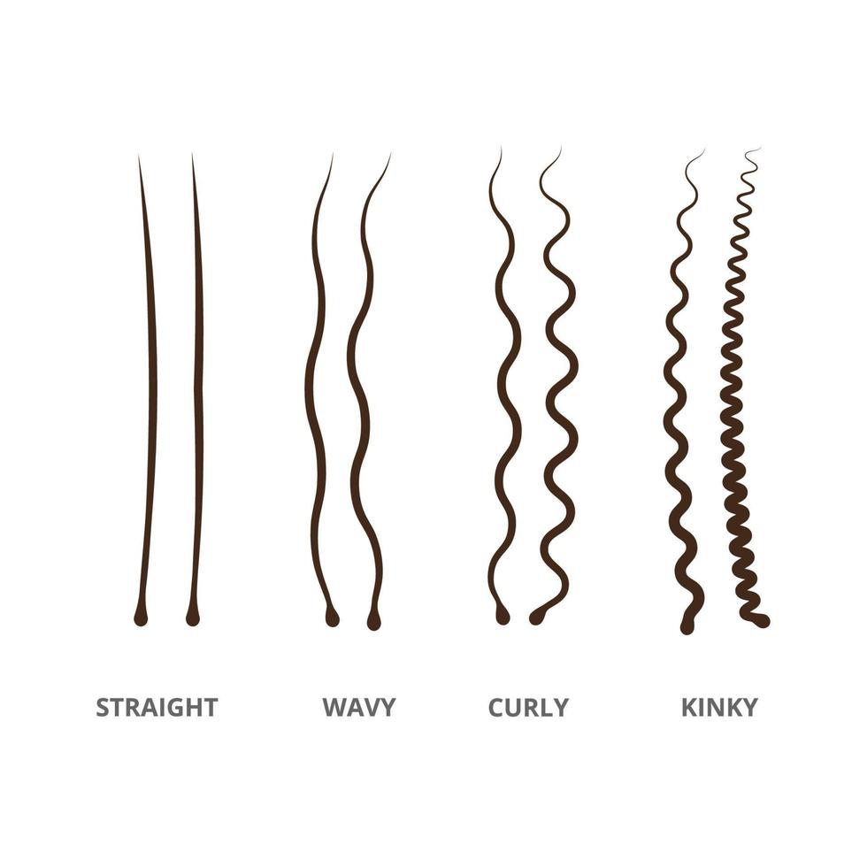 Hair types set. Congenital and acquired varieties of wavy and curly human and animal hair vector