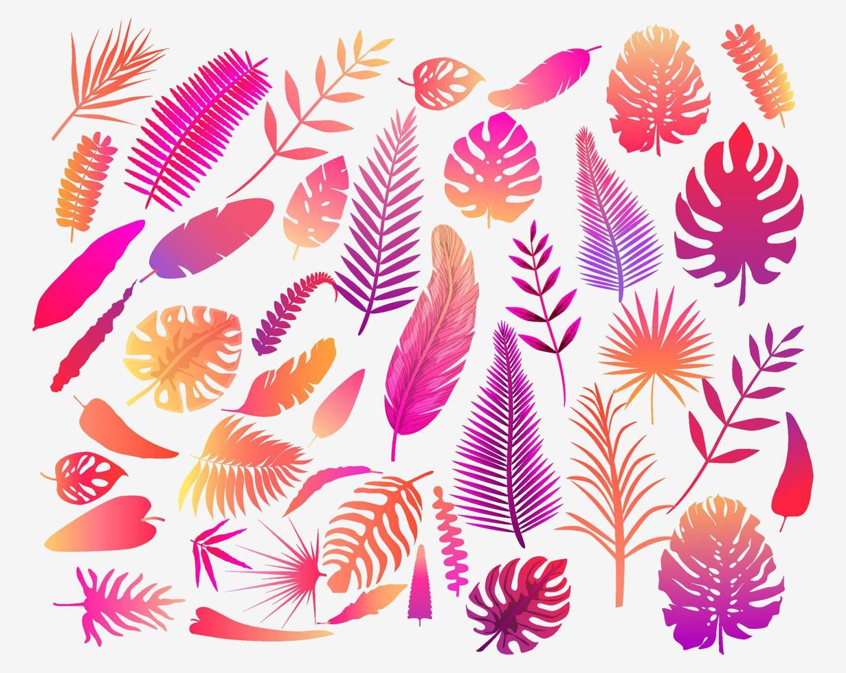 conjunto de ilustración vectorial de hojas de helecho tropical en color. diseño de arte exótico. elemento decorativo natural aislado. hermoso arte gráfico. fondo decorativo retro para impresión textil y decoración. vector