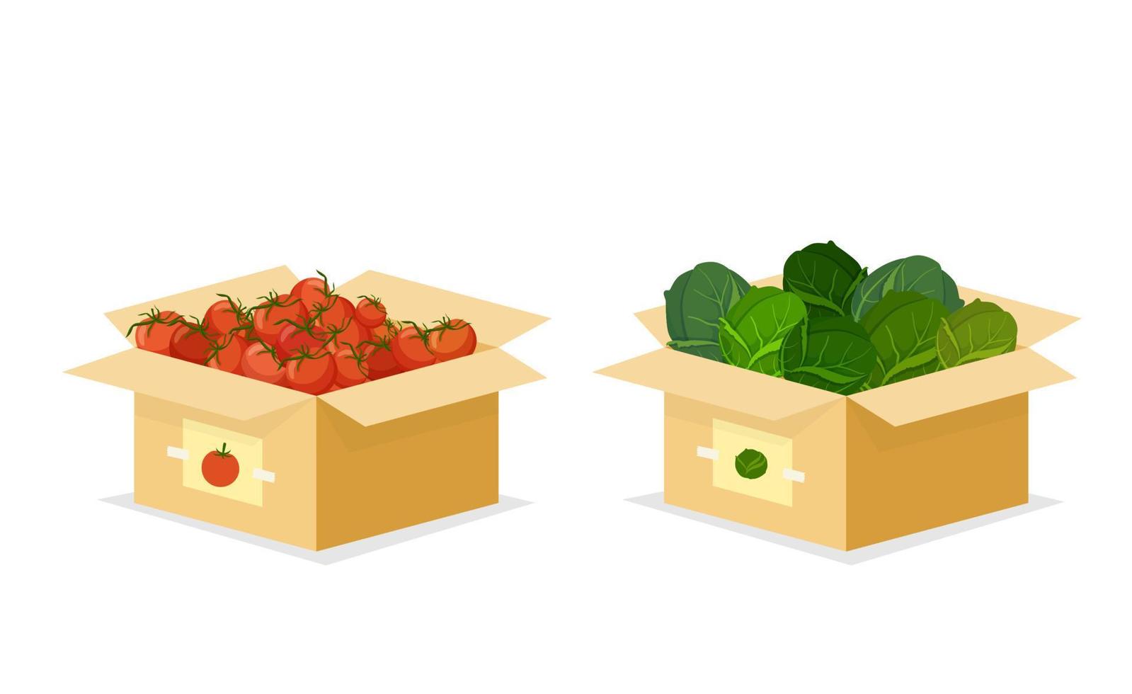 Open box with cabbage and tomatoes. Organic red vegetables with fresh green salad greens eco natural products grown on bio vector farm.
