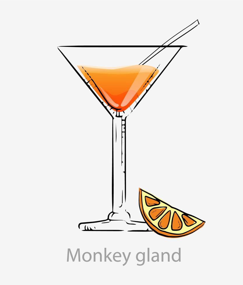 mono glándula cóctel. cóctel de naranja rodaja de naranja todo el día alcohol de paja ginebra jugo de naranja, granadina se sirve copa de cóctel vectorial, categoría inolvidable. vector