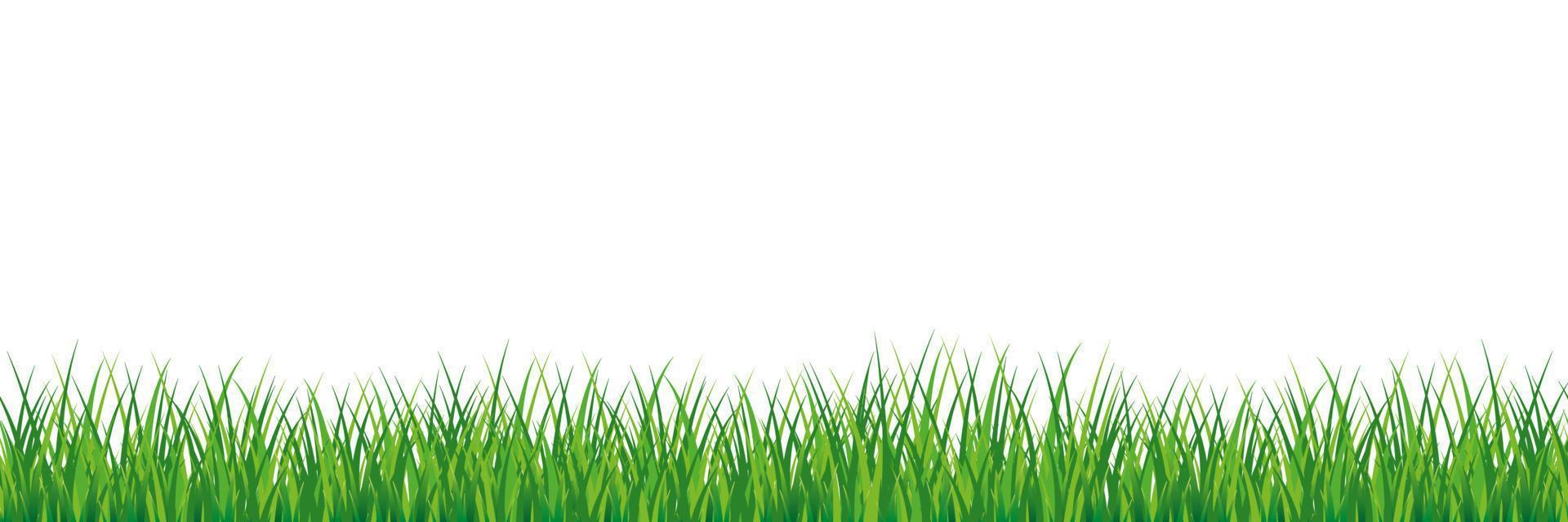 Seamless spring grass. Natural green saturated grass horizontal lawn lush ecological natural young vector foliage open green shoots beautiful clipart herbal seamless pattern.