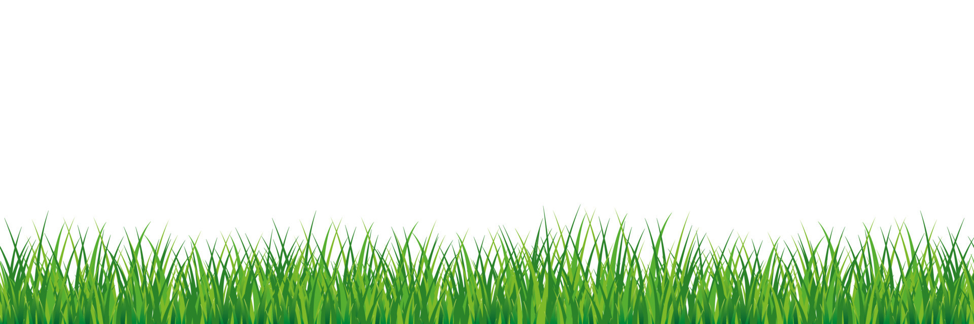 Seamless spring grass. Natural green saturated grass horizontal lawn