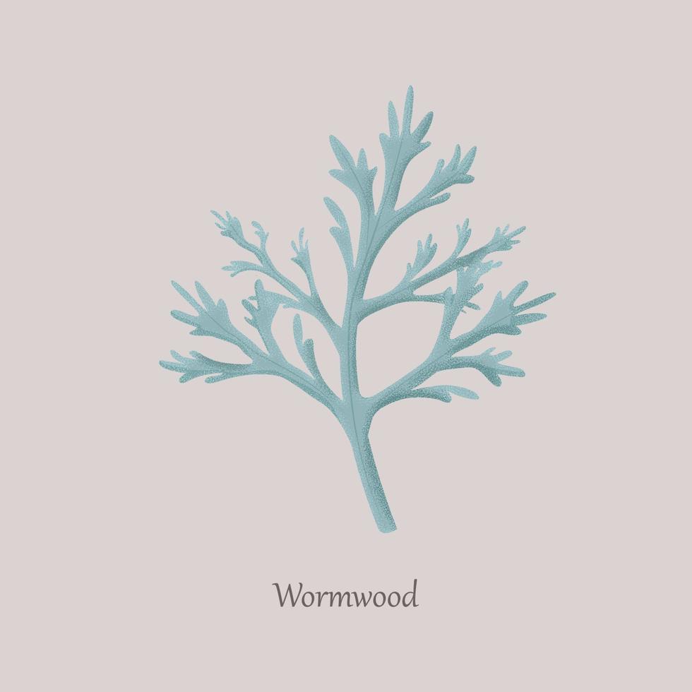 Wormwood is a perennial herb with a strong aroma. vector