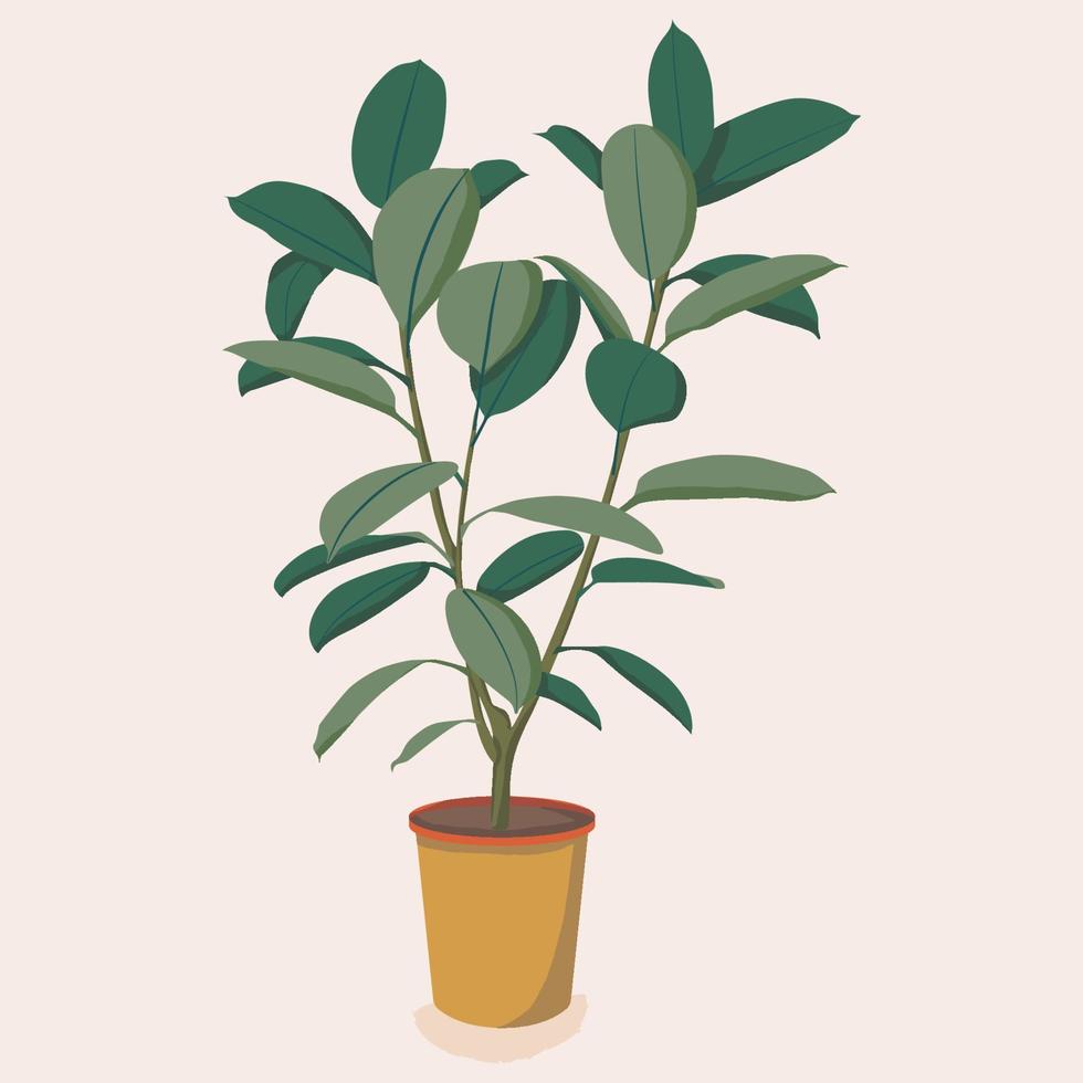 Ficus tree houseplant illustration. Scandinavian cozy home decor. Flat vector cartoon icon illustration of house plant isolated