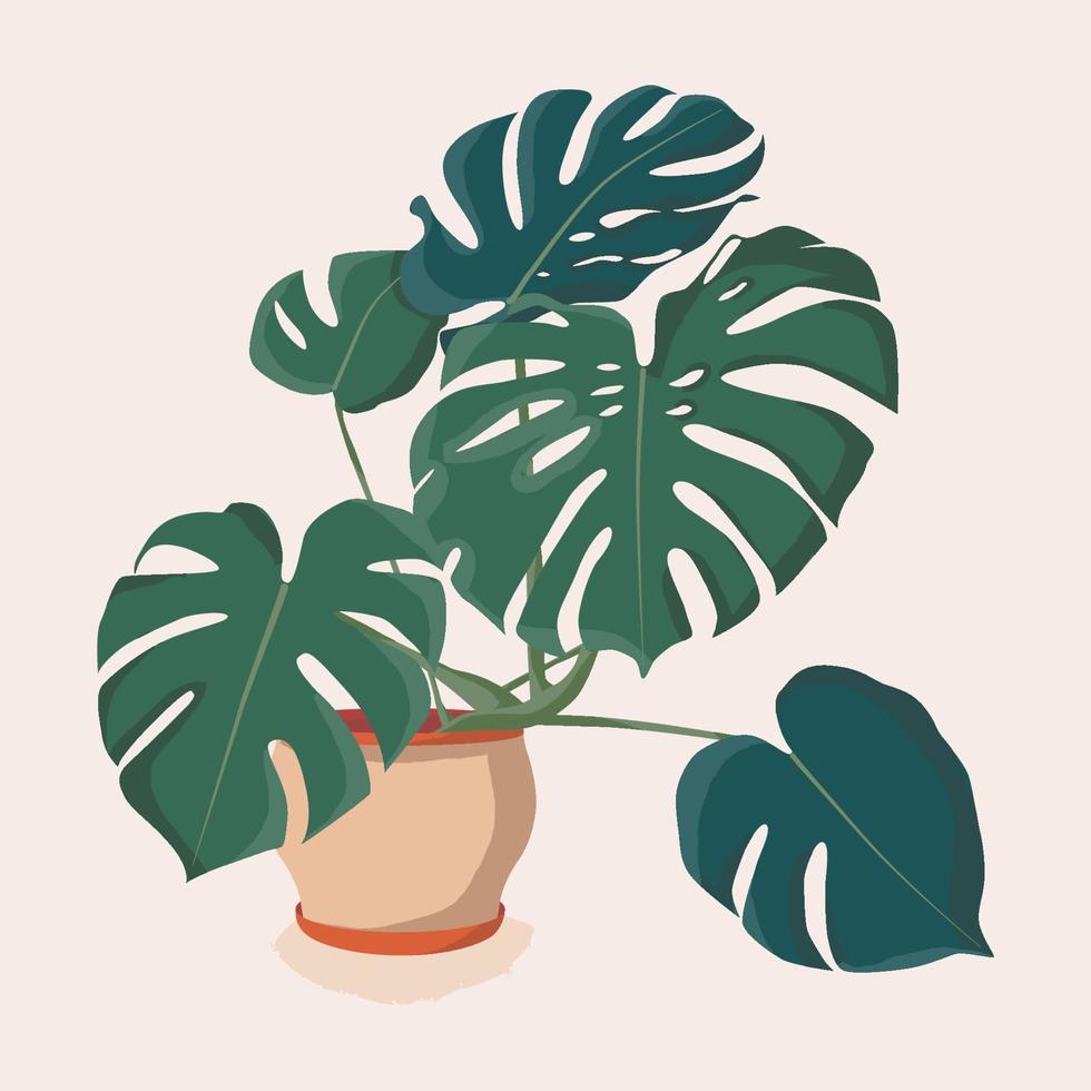 Monstera houseplant illustration. Scandinavian cozy home decor. Flat vector cartoon icon illustration of house plant isolated