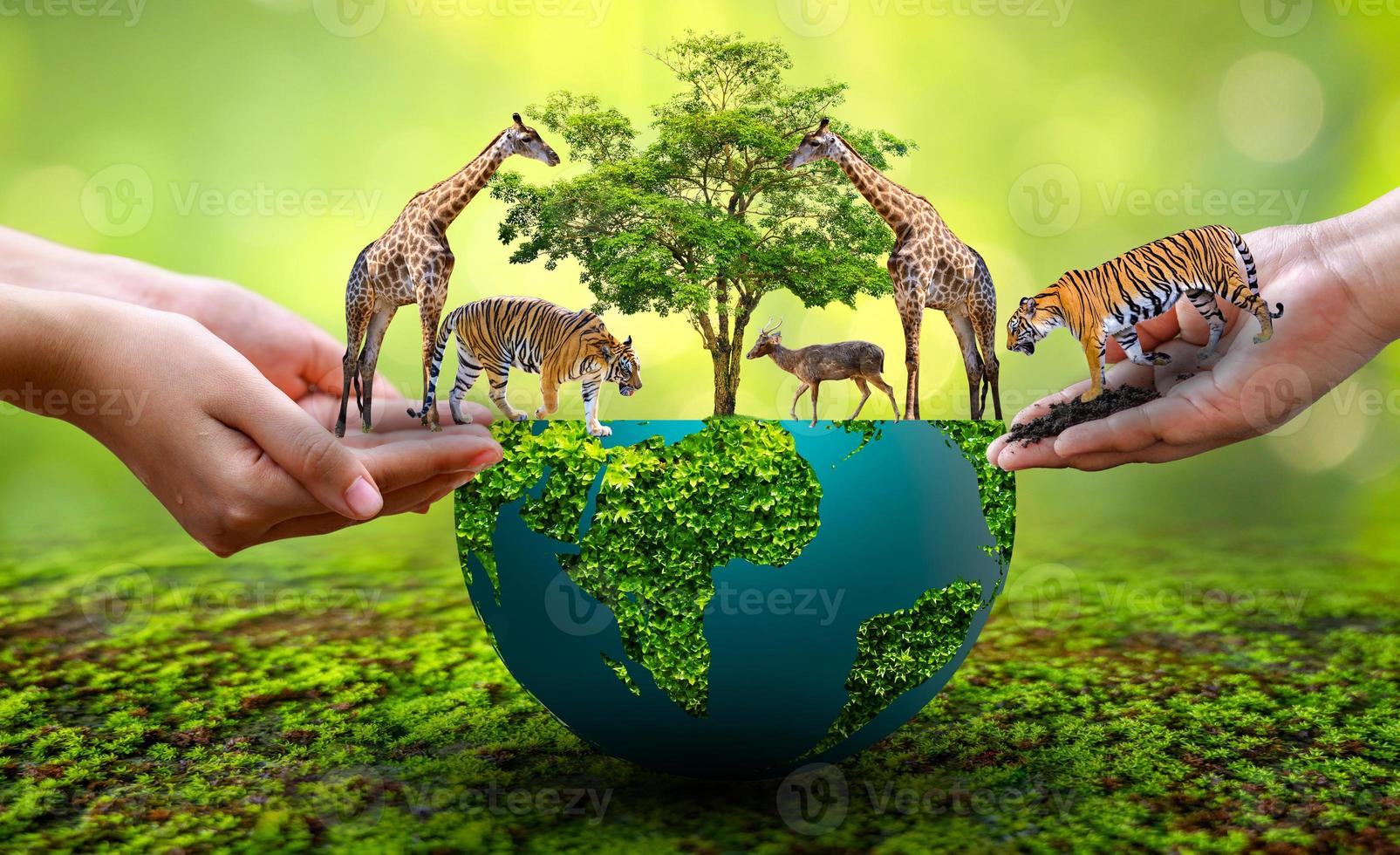 World Animal Day World Wildlife Day  Groups of wild beasts were gathered in the hands of people photo