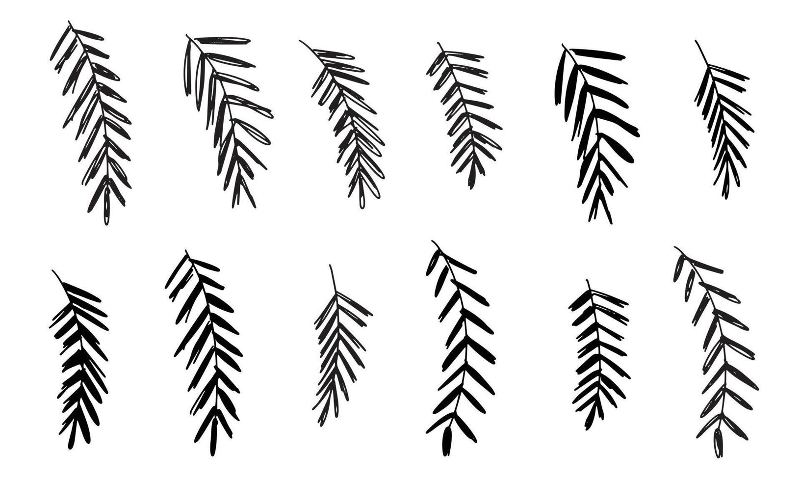 Set of spruce branch. Hand draw doodle elements vector illustration