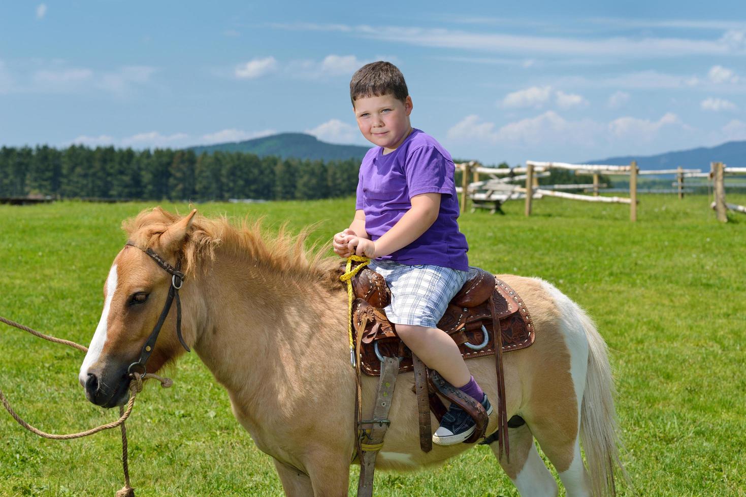 child ride pony photo