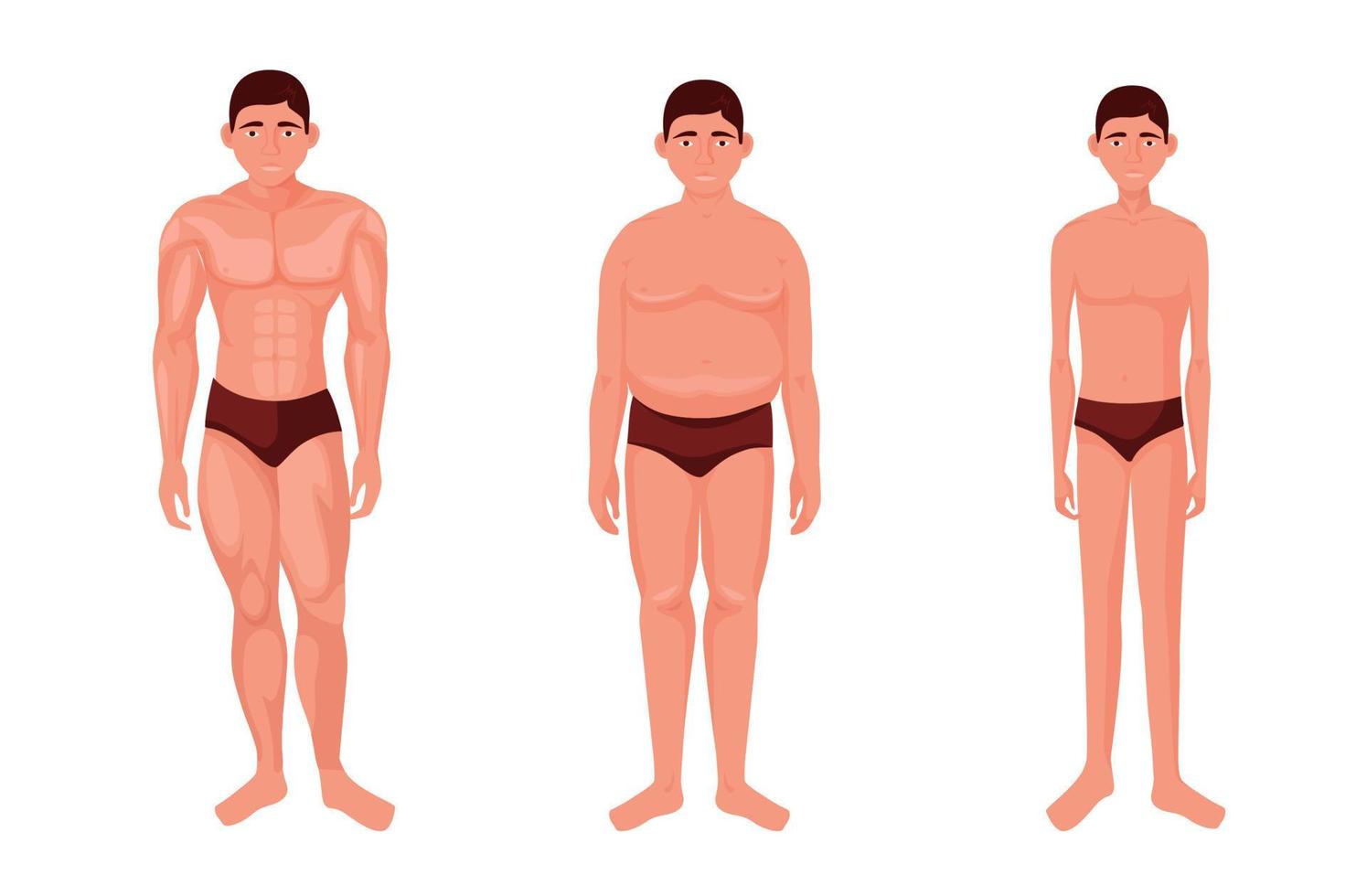 físico diferente de la persona. cuerpo atlético mesomórfico muscular y endomórfico completo con grasa subcutánea figura magra tonificada con extremidades vectoriales largas y delgadas vector