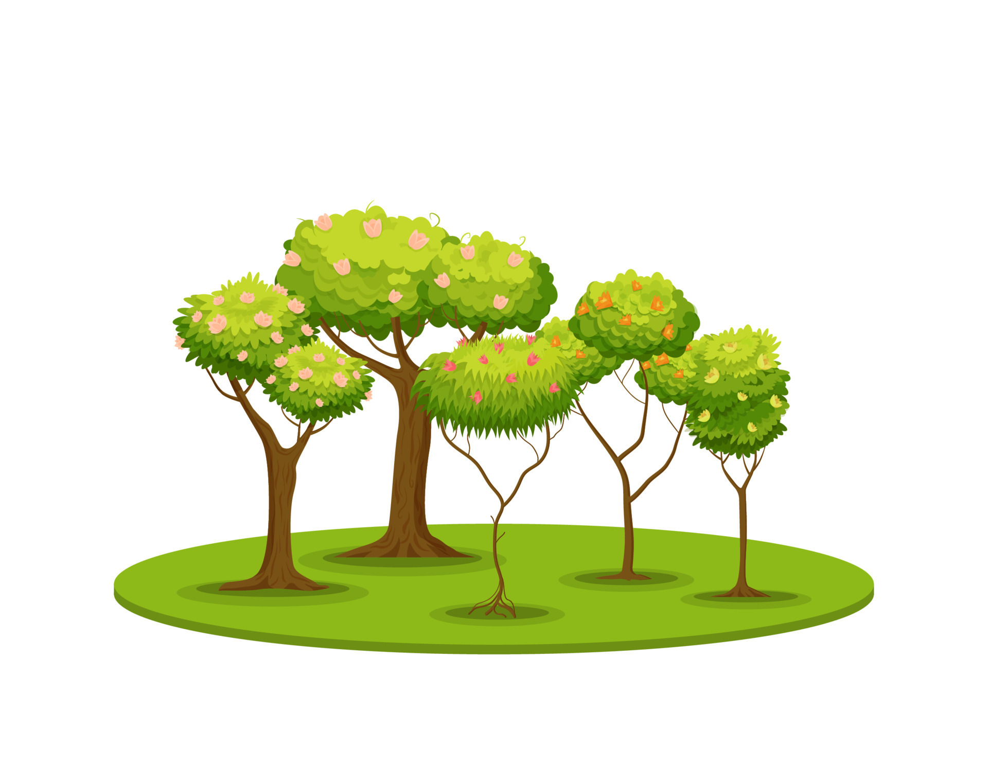 Glade with flowering trees. Green spring fruit deciduous plants with