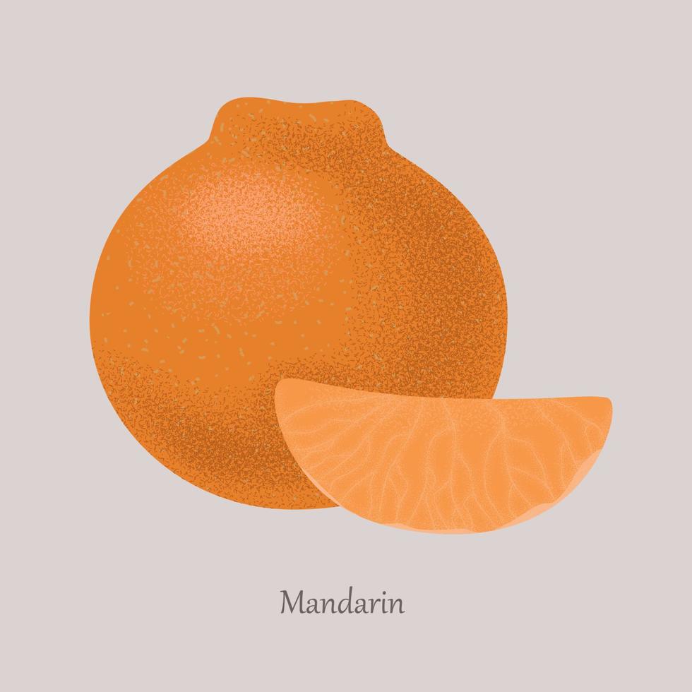 mandarina, mandarina fruta tropical dulce madura. mandarina naranja sobre un fondo gris. ilustración vectorial, icono aislado de cítricos todo y cortado. vector