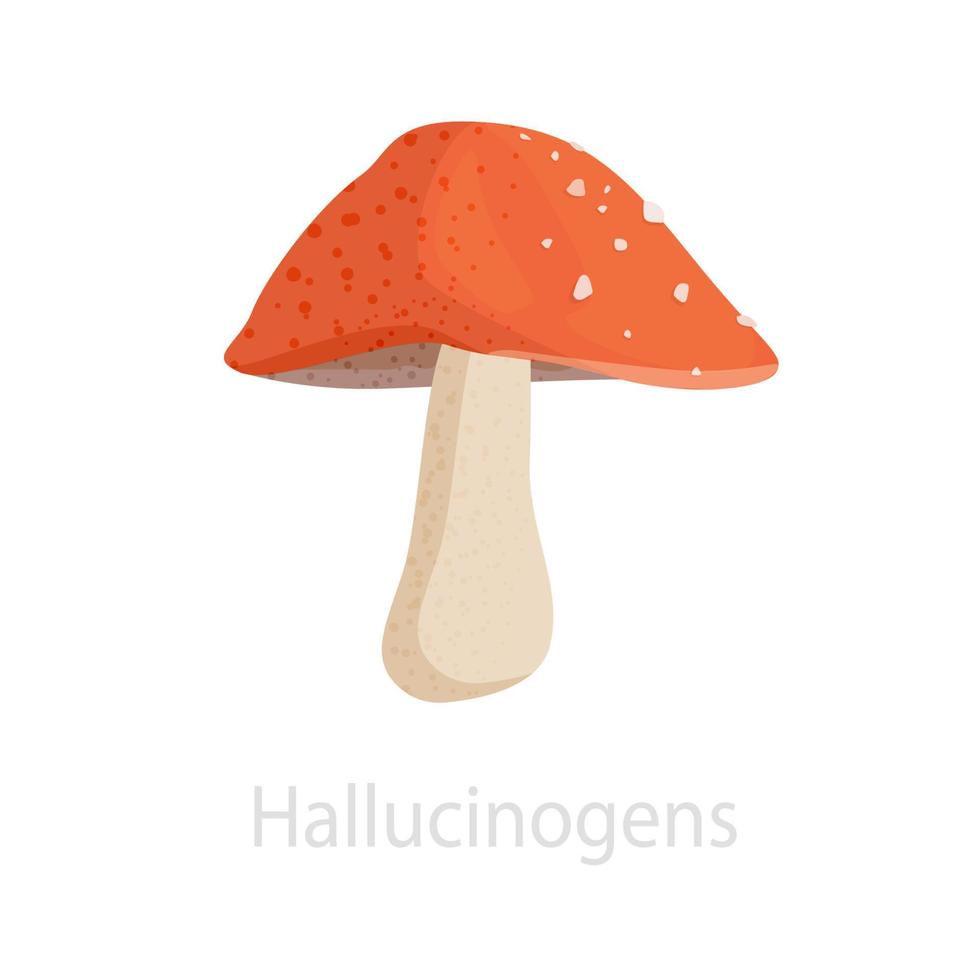 Hallucinogenic mushroom with a red cap. Illustration of a natural drug with a psychedelic effect. Colorful fantasy design psychedelic visions. Vector illustration