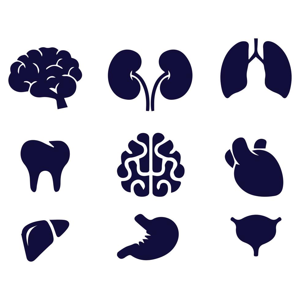 conjunto de iconos de órganos humanos vector
