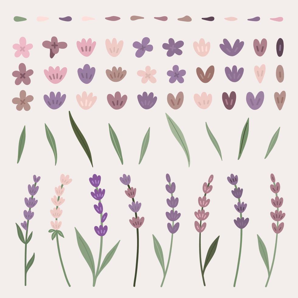 Lavender flower set vector