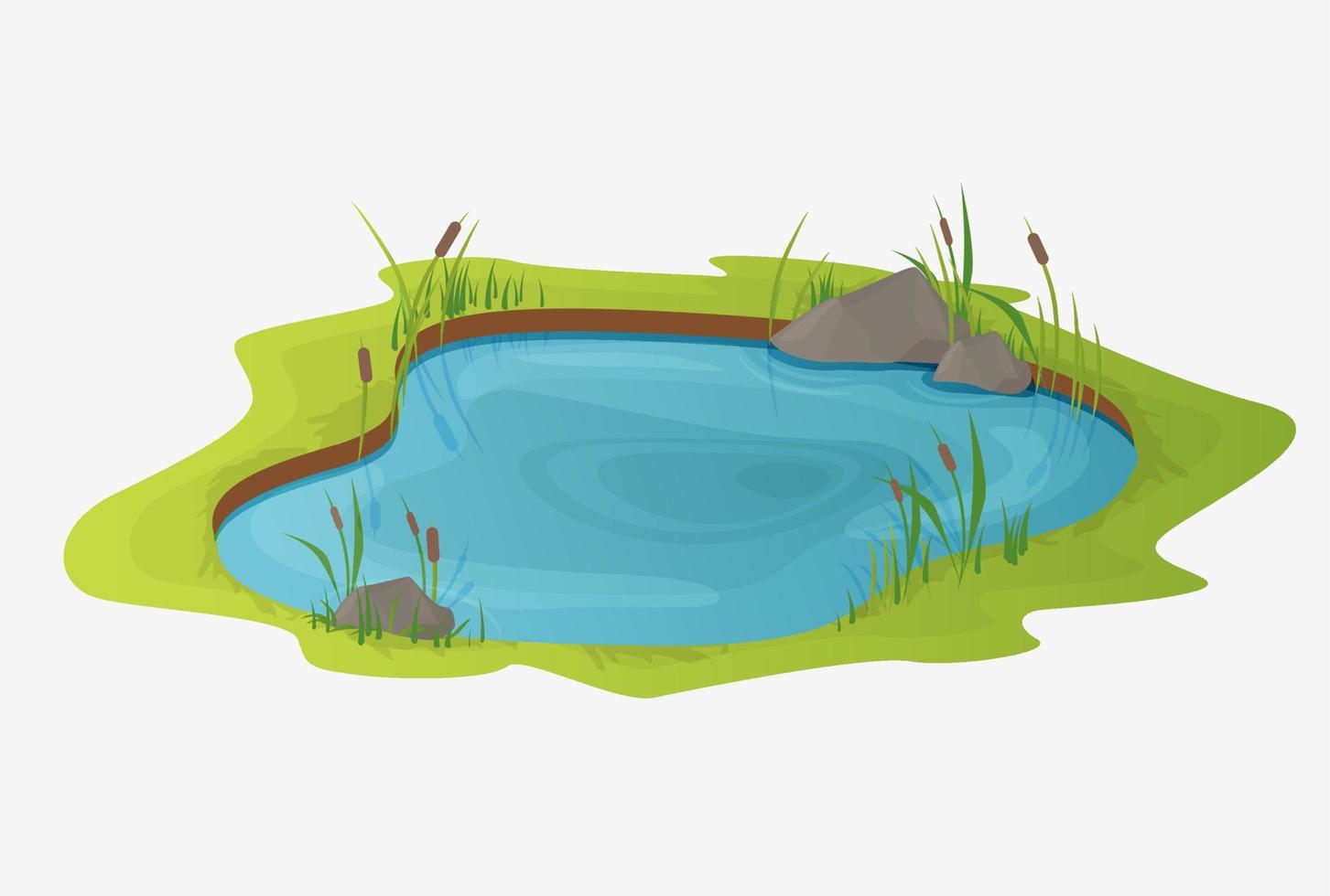Picturesque water pond with reeds. The concept of an open small swamp lake in a natural landscape style. Natural natural design in a beautiful color, rural, country style illustration. vector
