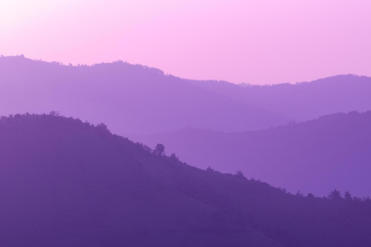 ultra violet purple summer landscape photo