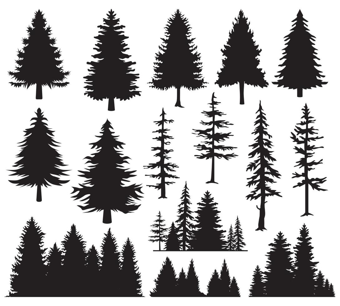 conjunto de abetos. vista del bosque de silueta. pinos aislados sobre fondo blanco vector