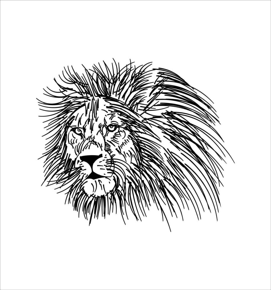 Hand drawn sketch of line head in black isolated on white background vector