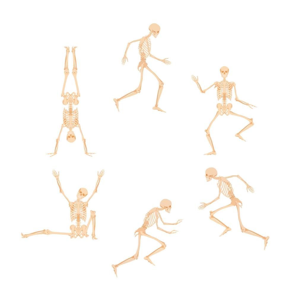 Circle of dancing and running skeletons. Dead people are jumping merrily and standing on their hands creepy abstract dial made of vector bone figures.