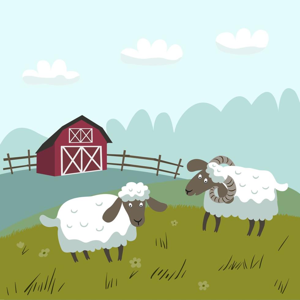 ovejas blancas con bozales negros pastan en un prado. granja roja en el fondo. ilustración plana vectorial. vector