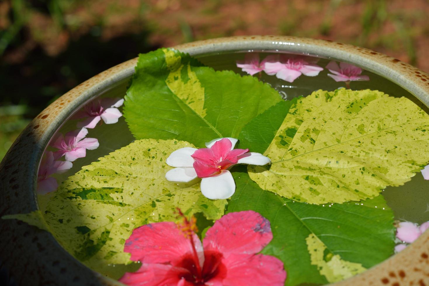 water cup with beautiful flowers background photo