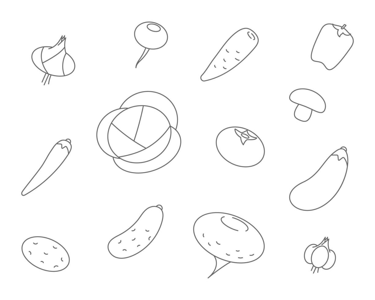 iconos de línea de verduras. establecer icono vectorial de repollo vegetal, zanahorias, pepino, ajo, cebollas, pimientos vector