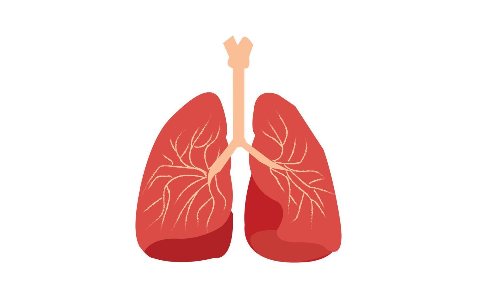 Healthcare and Medical education drawing chart vector