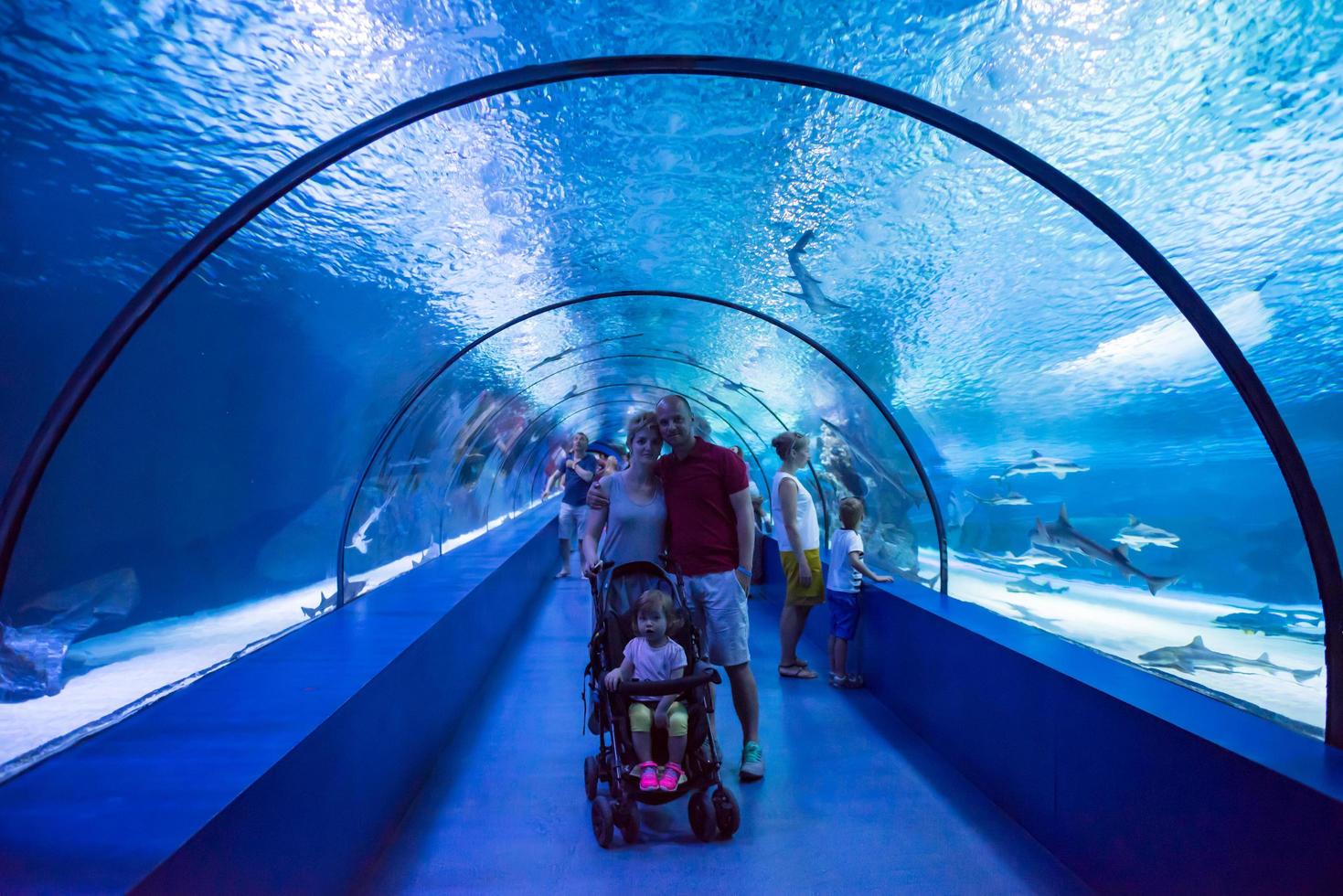 happy family  in the underwater aquarium photo