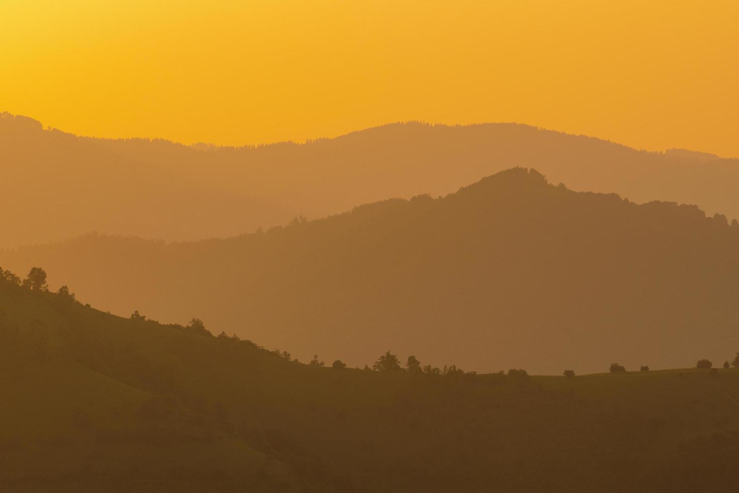 golden sunset in summer photo