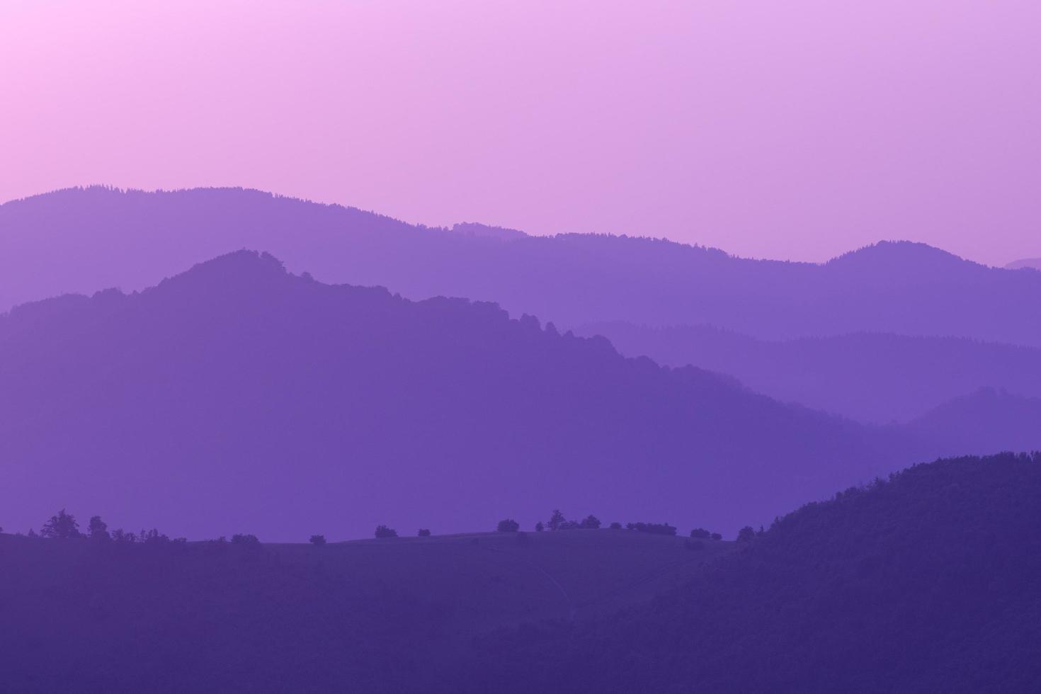 ultra violet purple summer landscape photo