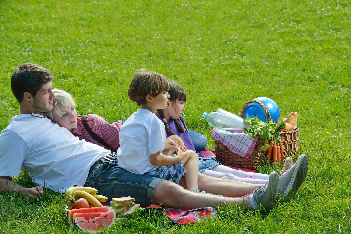 Happy family playing together in a picnic outdoors photo