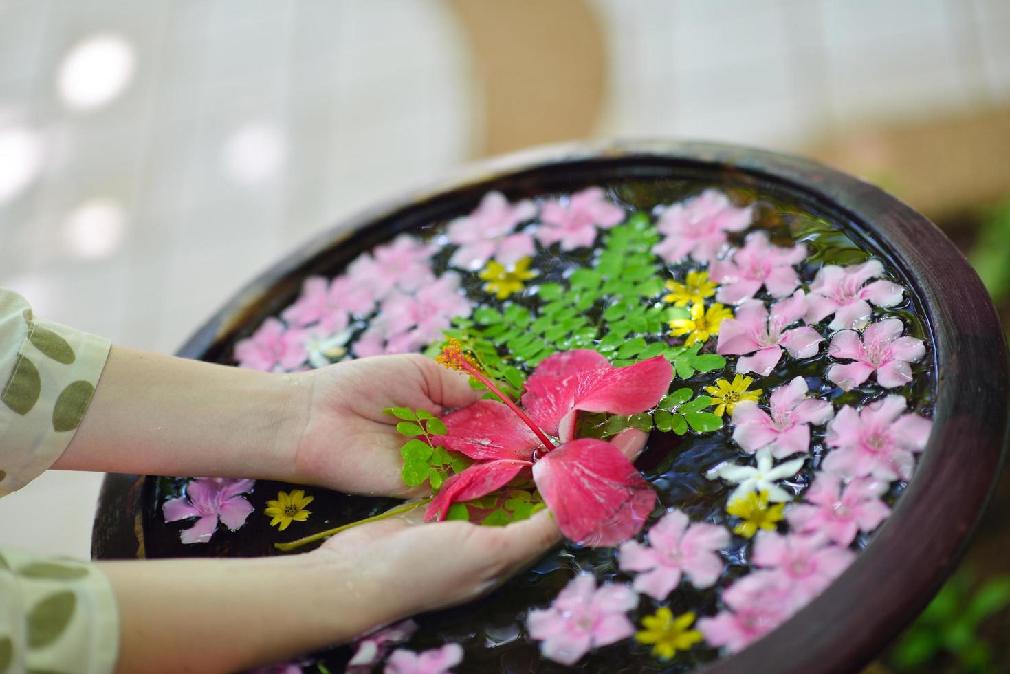 female hand and flower in water photo