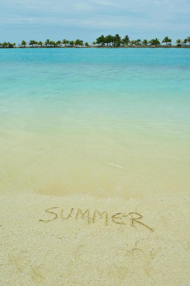 tropical beach landscape photo