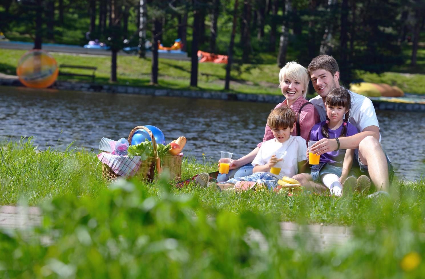 Happy family playing together in a picnic outdoors photo