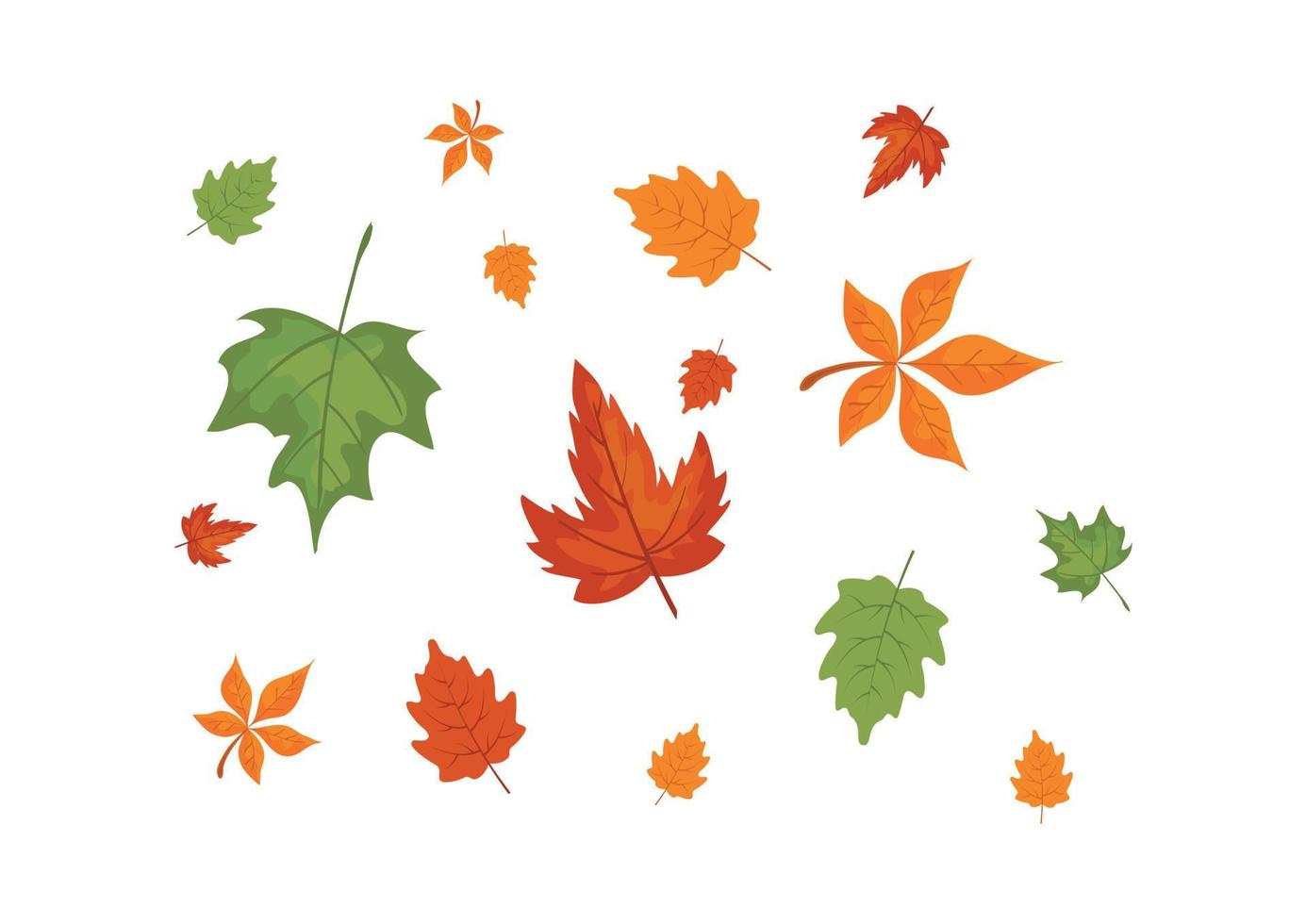 Set of autumn leaves in flat style isolated on white background vector illustration