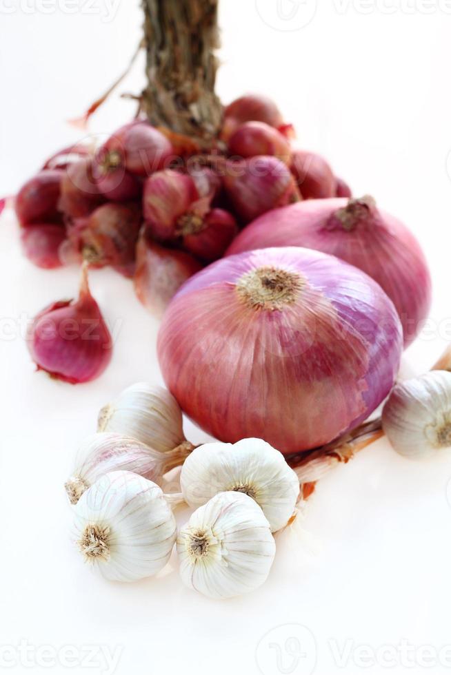 Red onion and garlic is raw food. photo