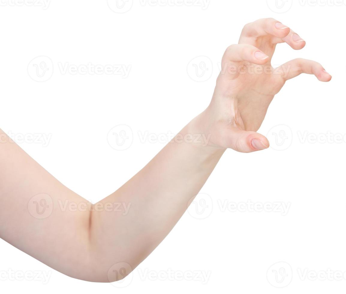side view of claws palm - hand gesture photo