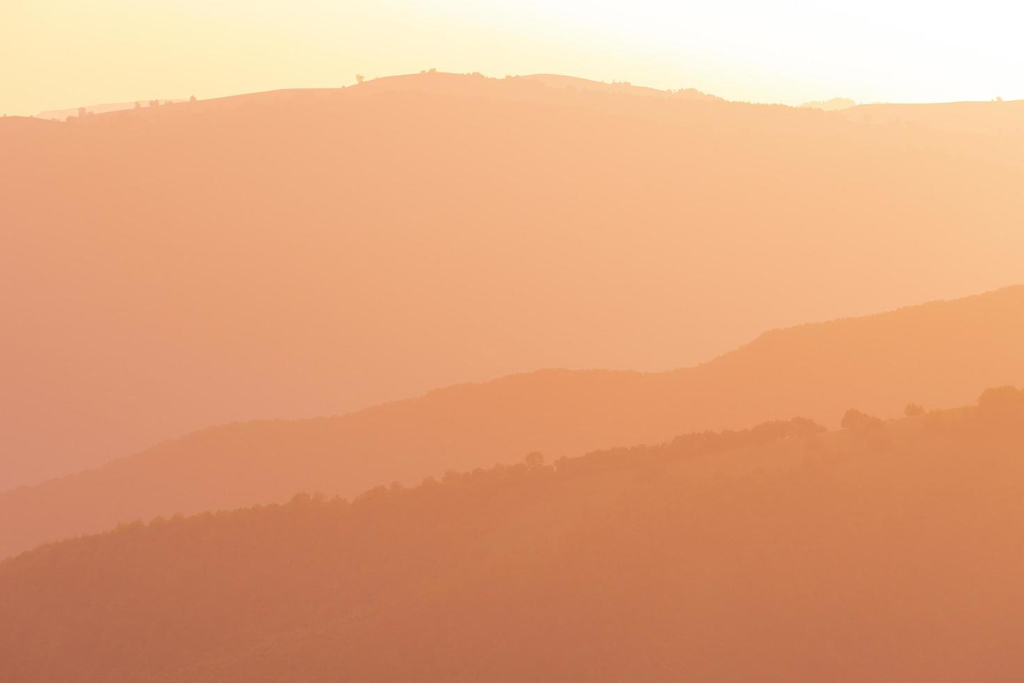 golden sunset in summer photo