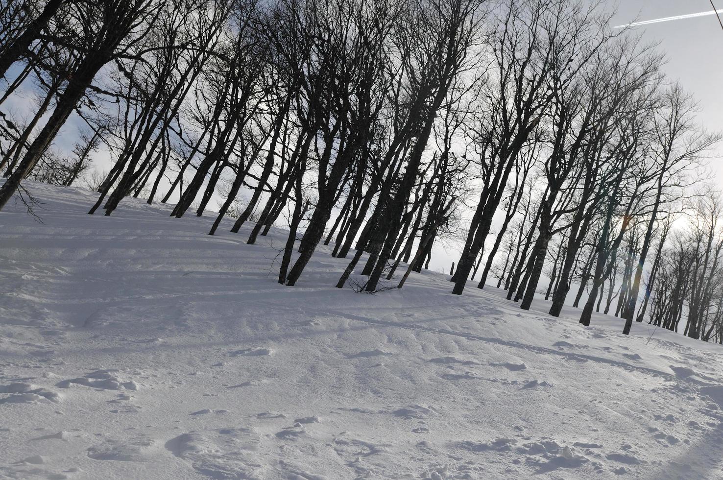 vista del paisaje de invierno foto