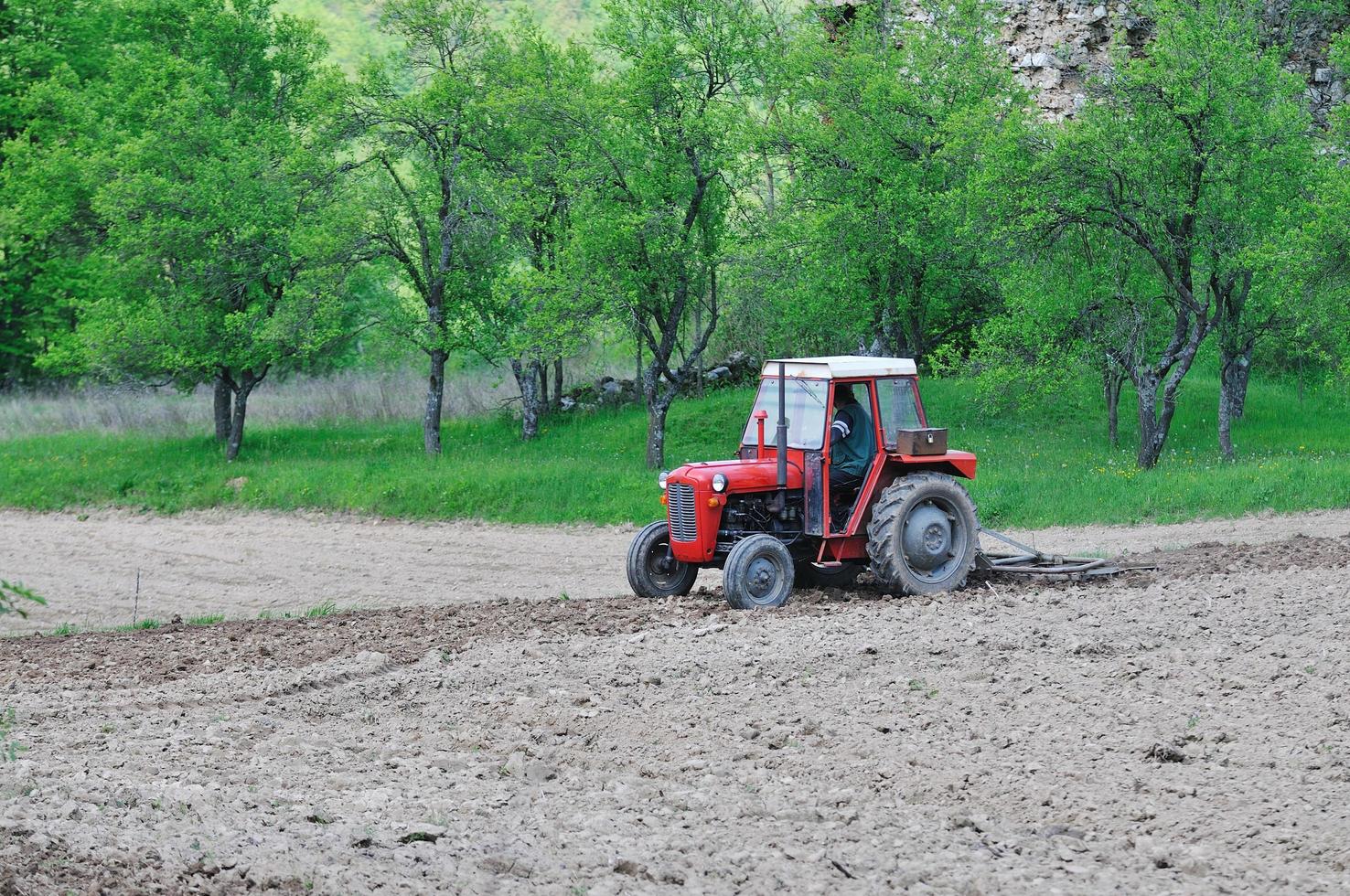 rural field farming photo