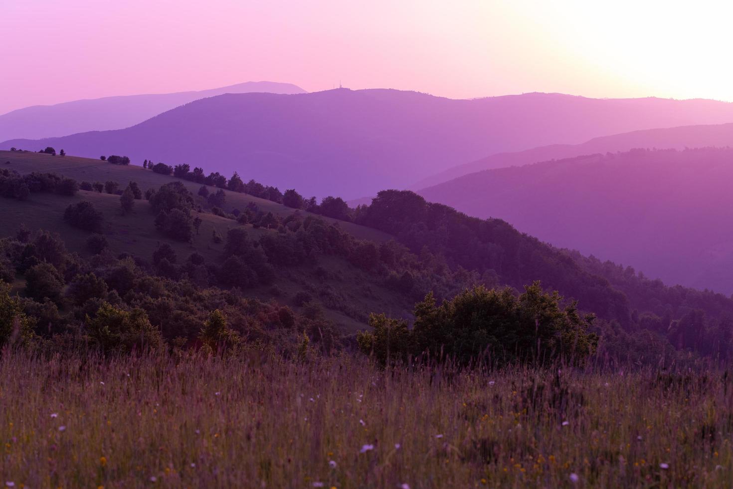 ultra violet purple summer landscape photo