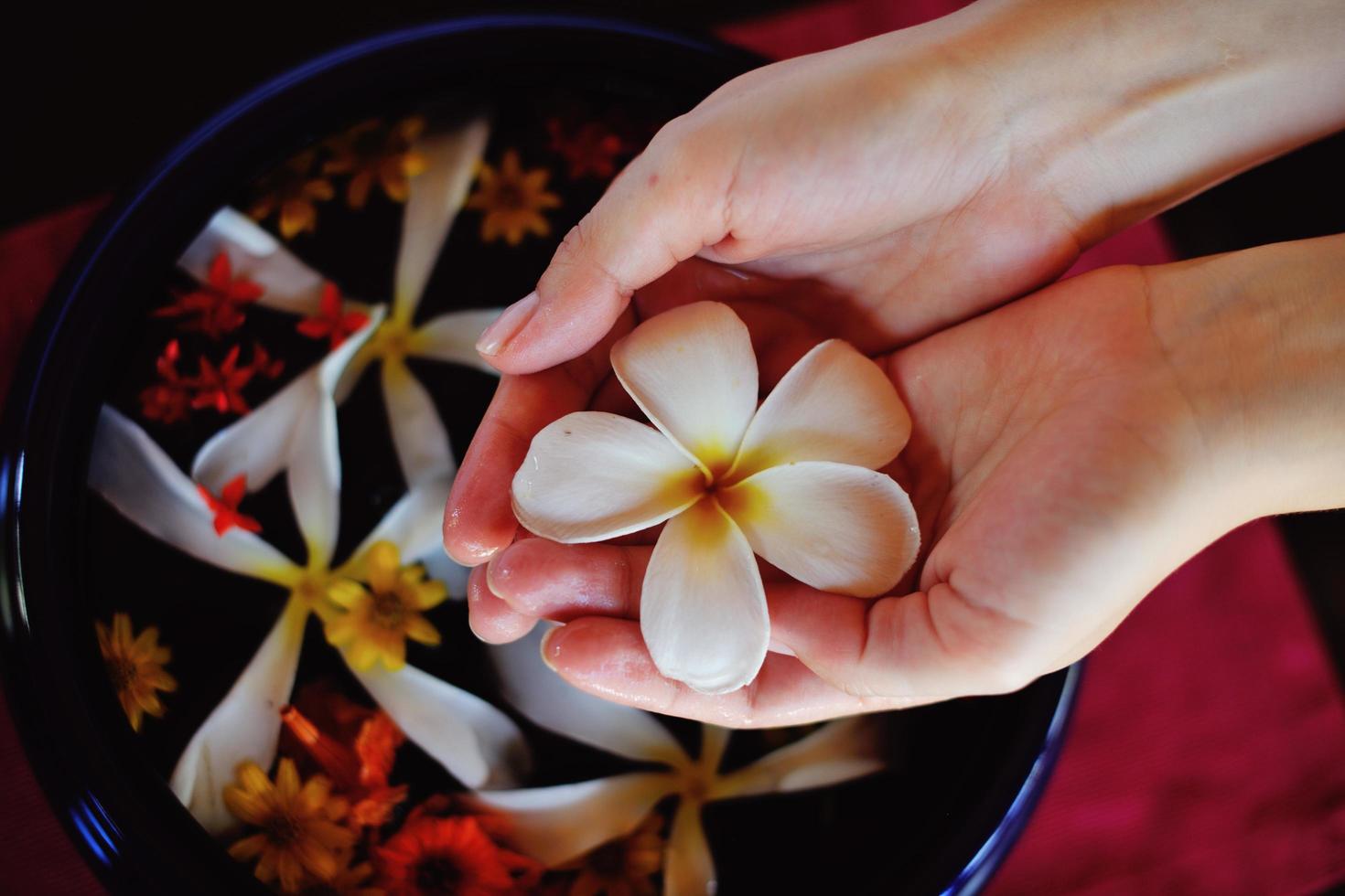 female hand and flower in water photo
