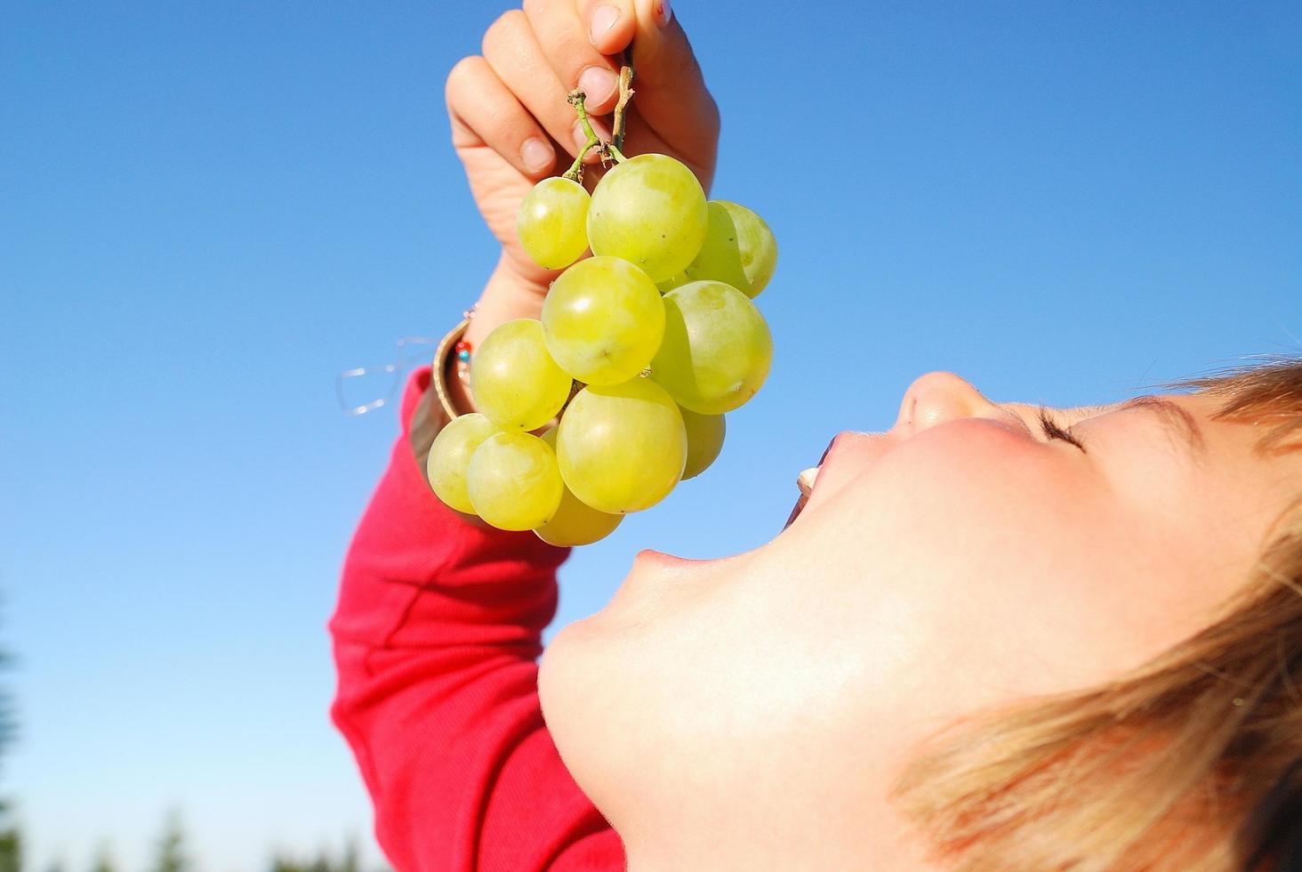 Girl eating grapes 11927869 Stock Photo at Vecteezy