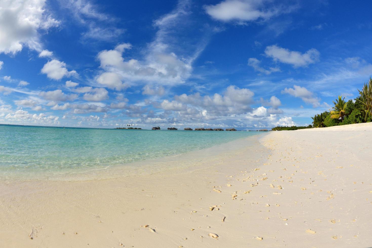 tropical beach landscape photo
