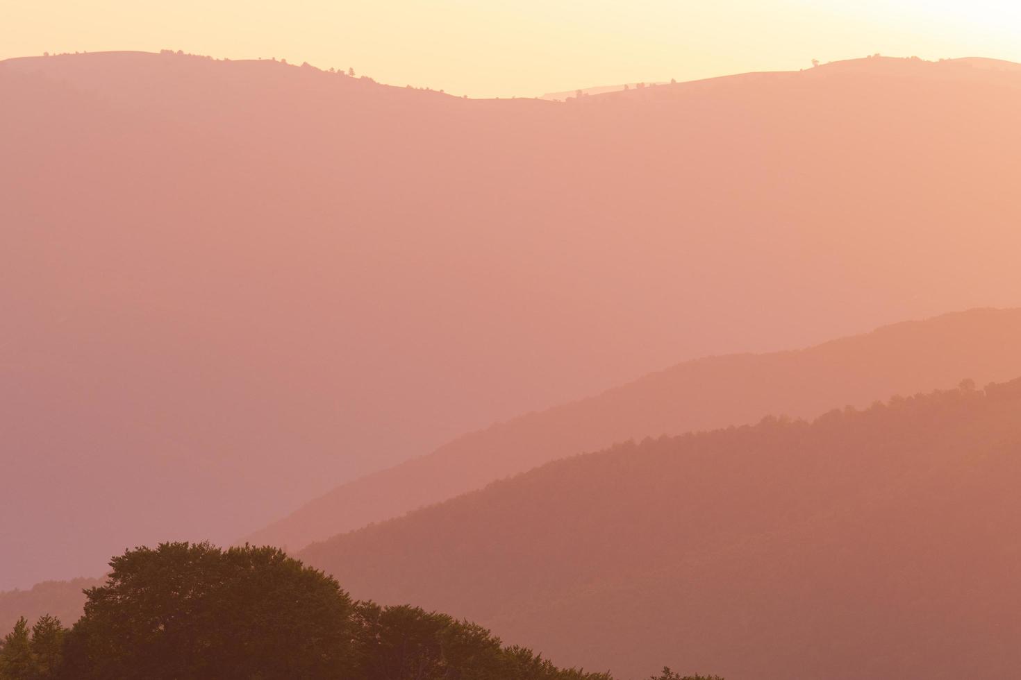 puesta de sol dorada en verano foto