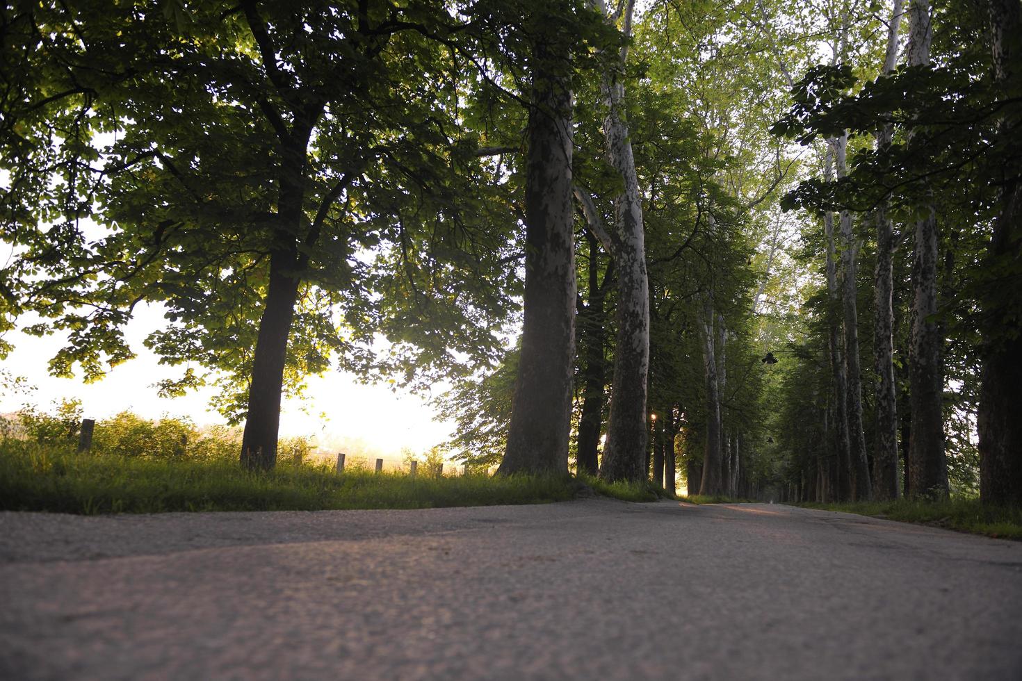sunrise in beautiful alley photo